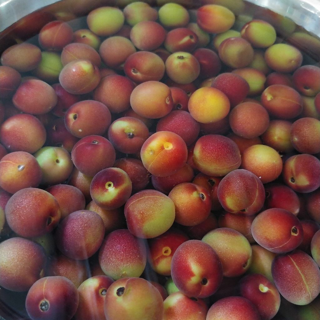 No.375　断捨離してスッキリしたら無心で梅のヘタを取る