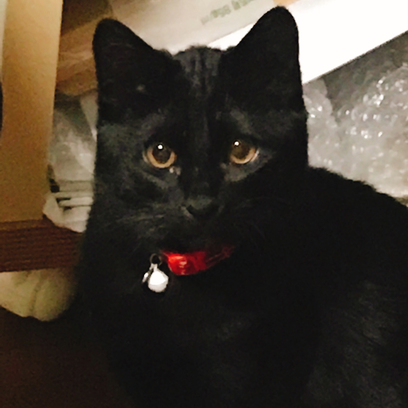 ゼルダやってるラジオ