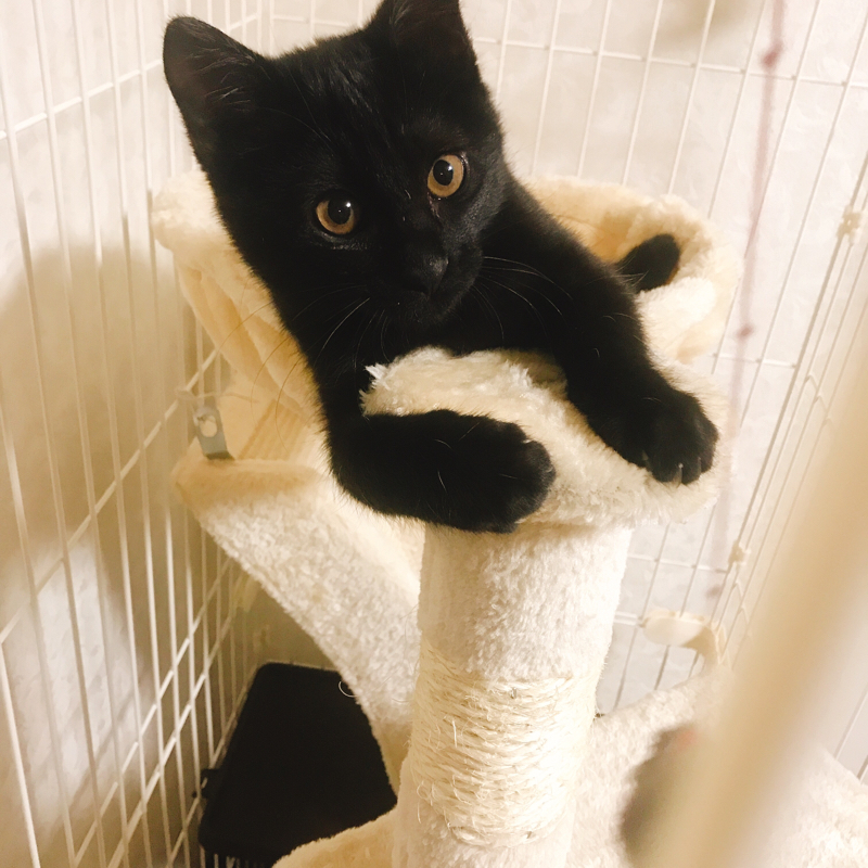 腐女子マインクラフトラジオ３