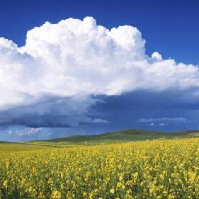 第６回「プリキュア」