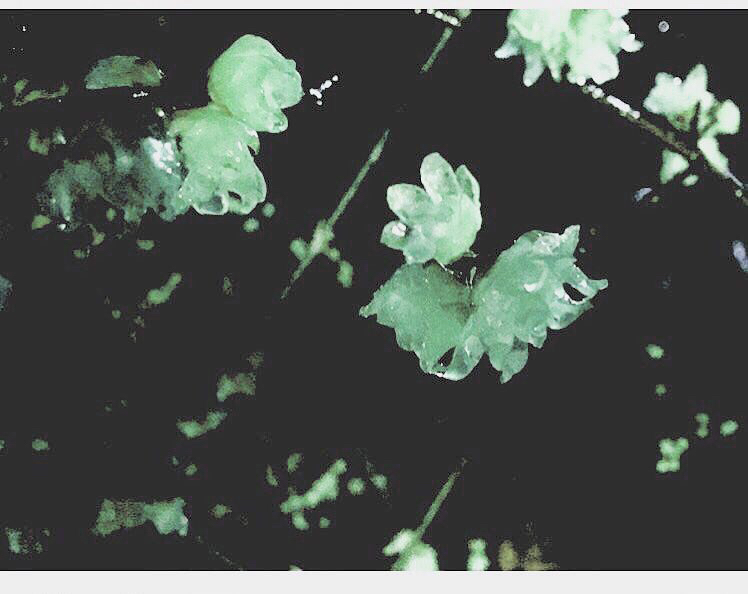 塩水のおはなし