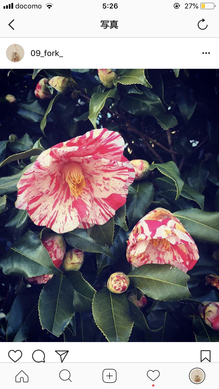 ごはんのはなし