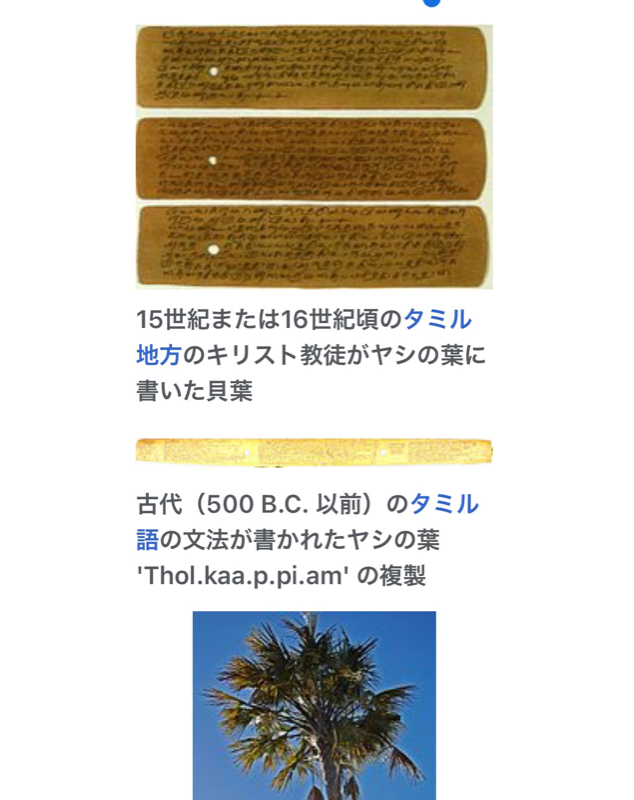 229パトラとは from Radiotalk episode artwork