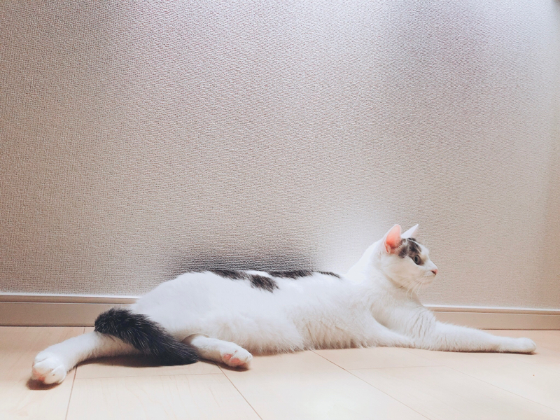 おすそわけのみ！！！