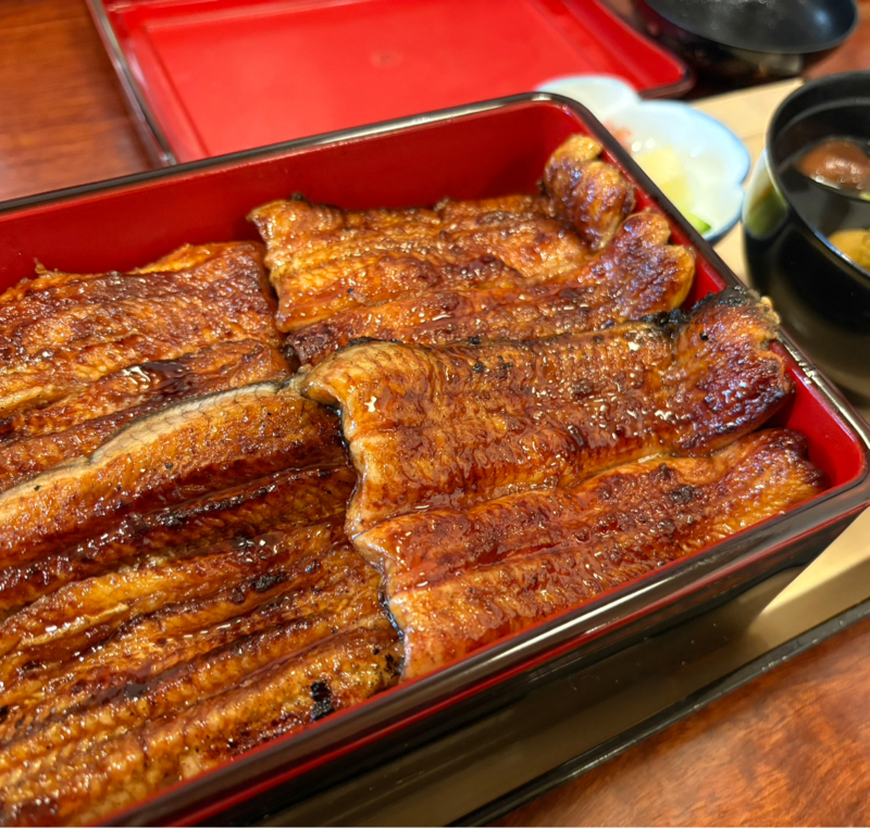 うなぎは食べたよ