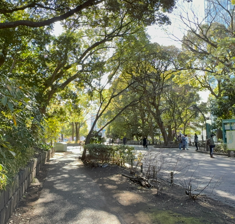 もう2度と通らない道