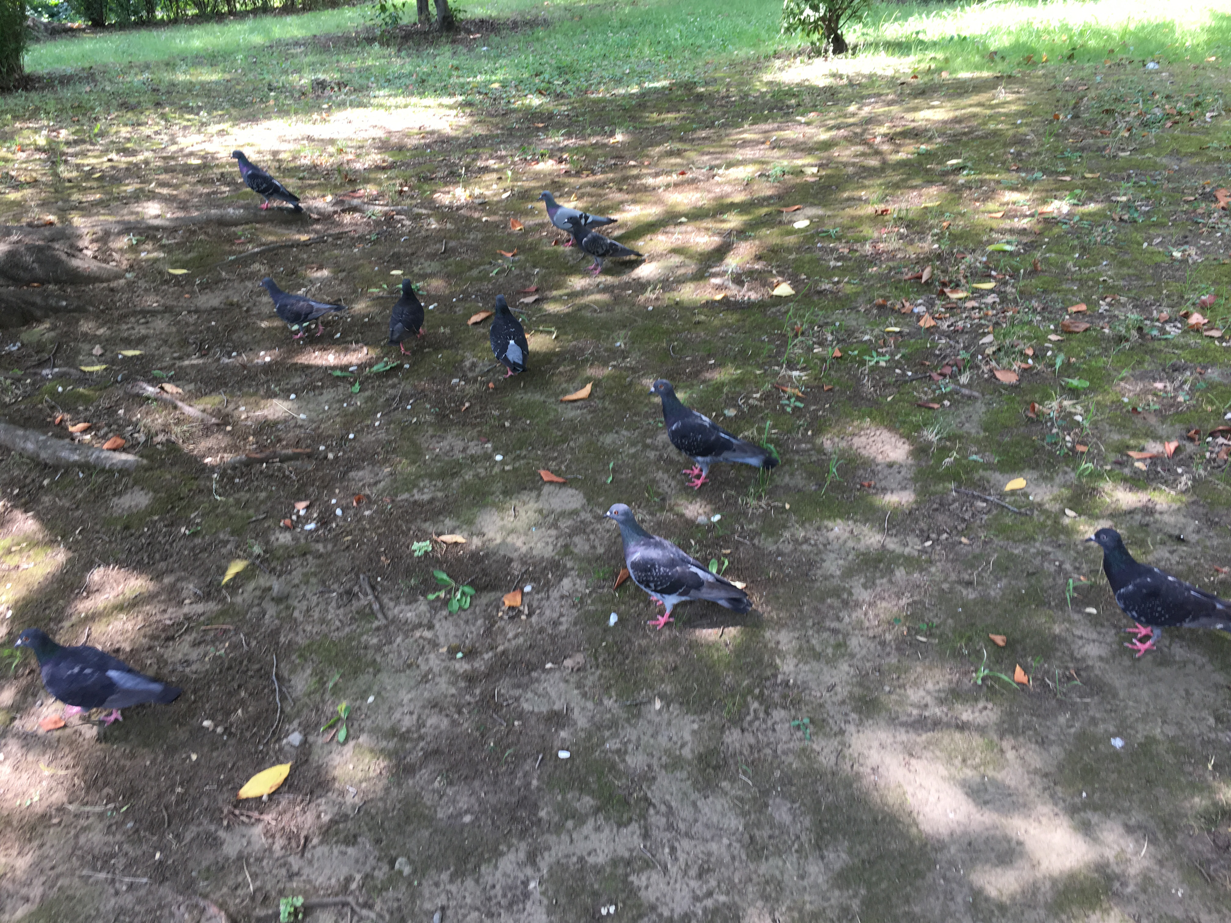 TWINBLOOD Bパート解説