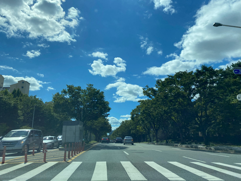 #8 今日からやっとカフェに行ける！