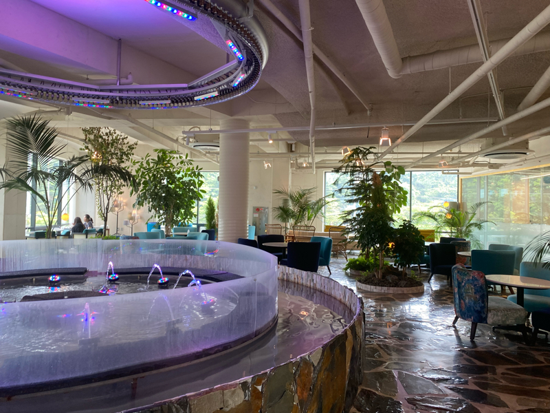  #115 空間を楽しむ、空間を売る！韓国カフェトレンド & BYOレストラン