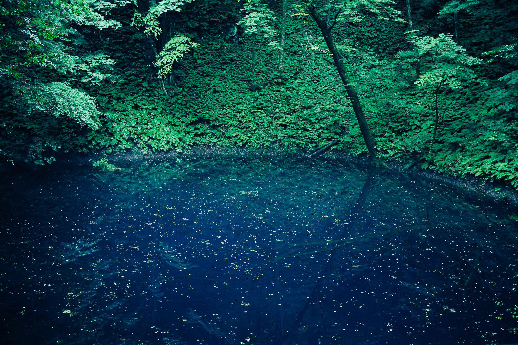 【雑談】ドライヤー壊れたんですよね