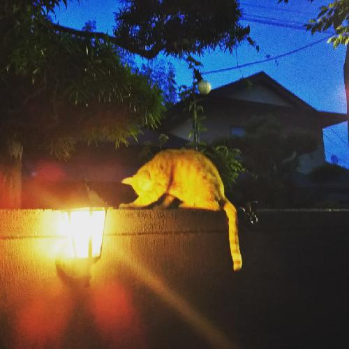 ②四次元ポケット