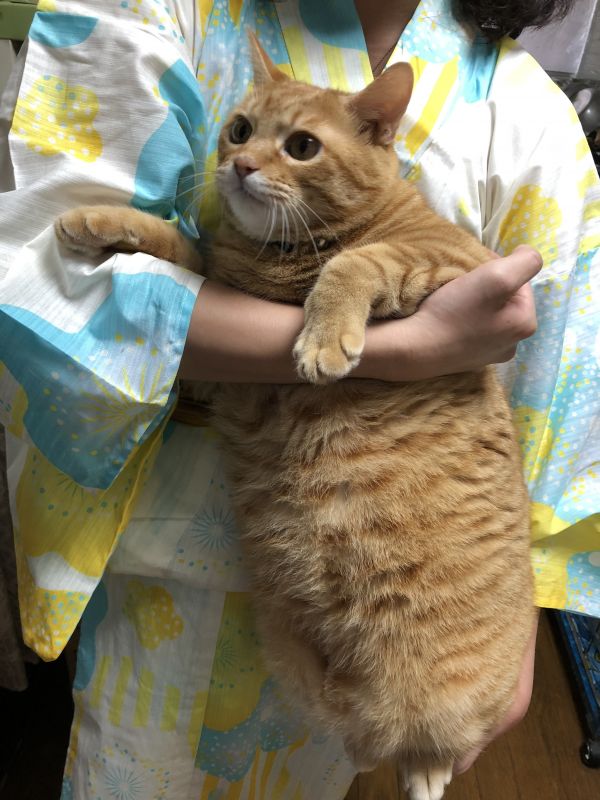 高速道路で道を間違えた