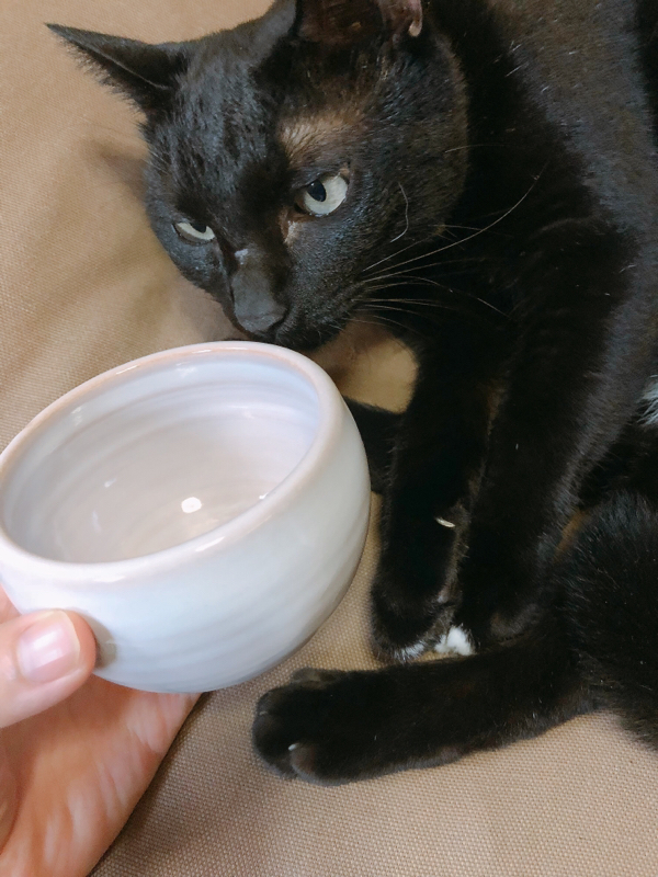 赤井さん沼に片足が浸かりかけてる件