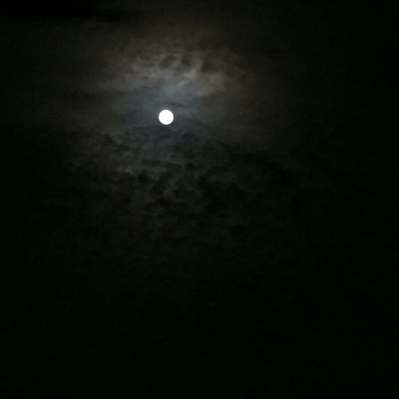 6 韓国ドラマ「花郎」について①