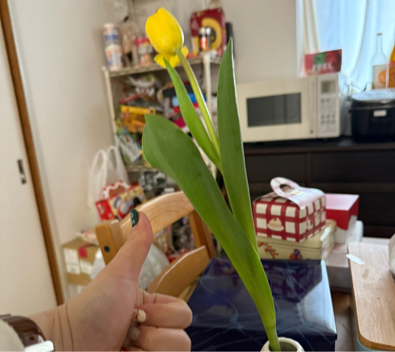 大感謝配信📱📶