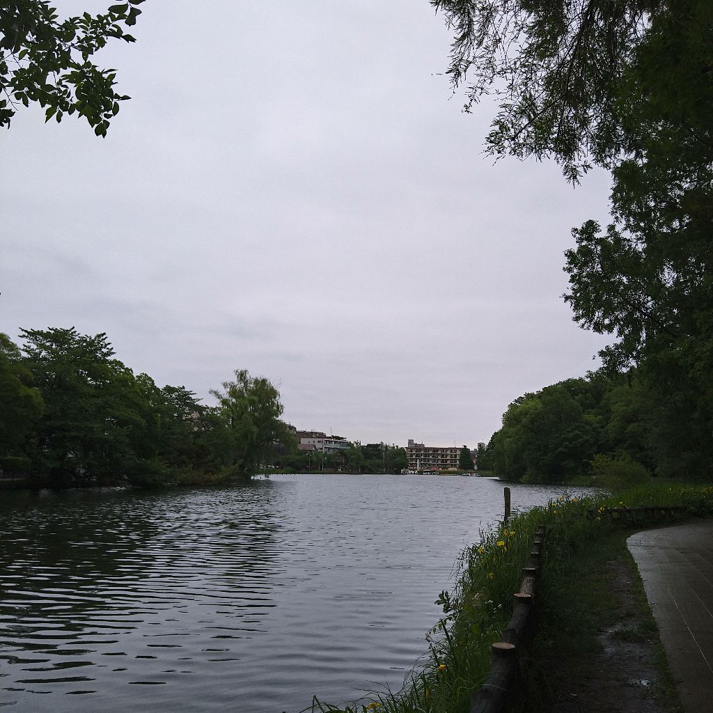 石神井公園編撮影後記