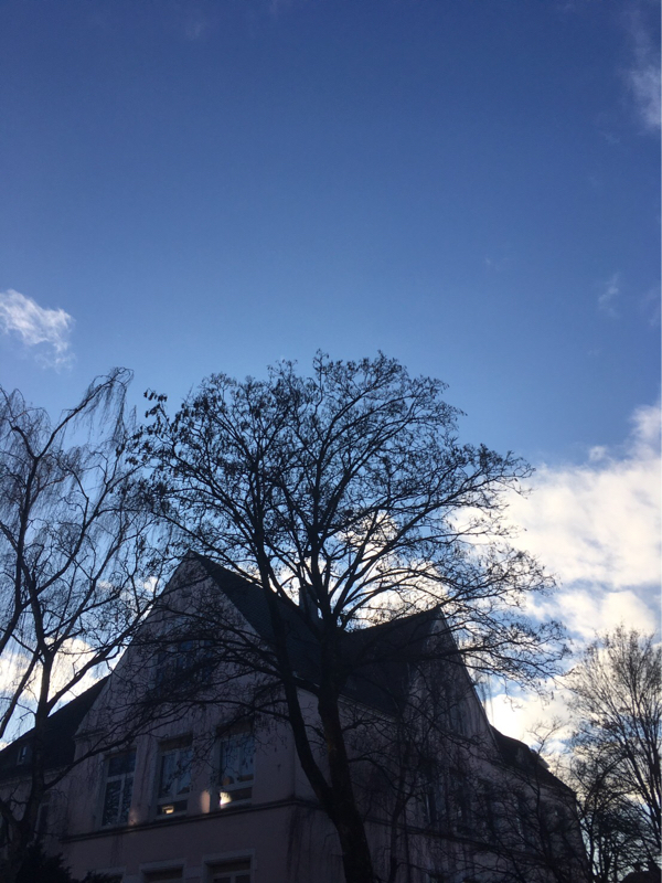 7️⃣8️⃣ショウちゃんってどっち利きなん？右？左？☀️2021/02/06 Saturday 