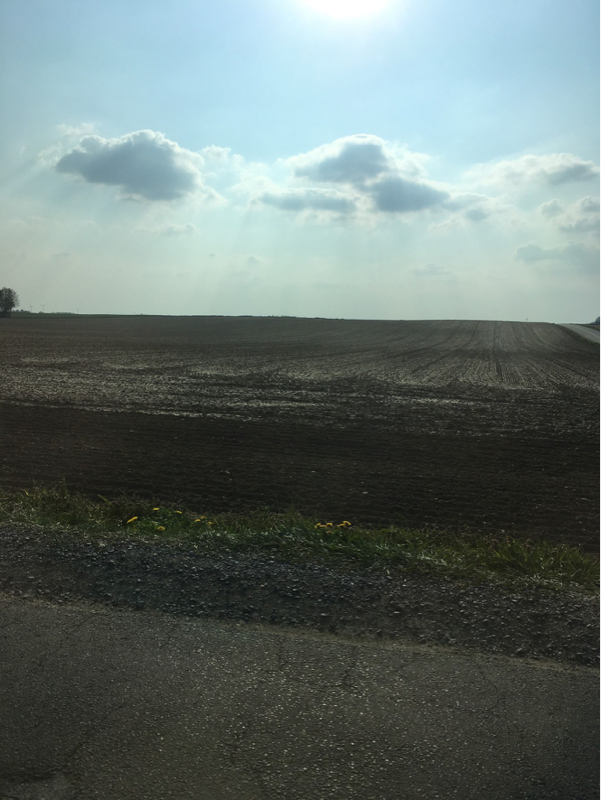 1️⃣1️⃣5️⃣自制心保てるかどうかわかりません笑☀️2021/03/16 Dienstag 火曜日