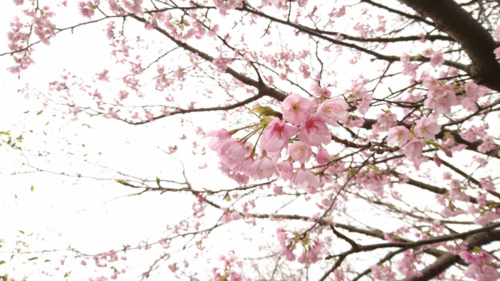 ちょいちょい笑ってる（序盤を読んでる）