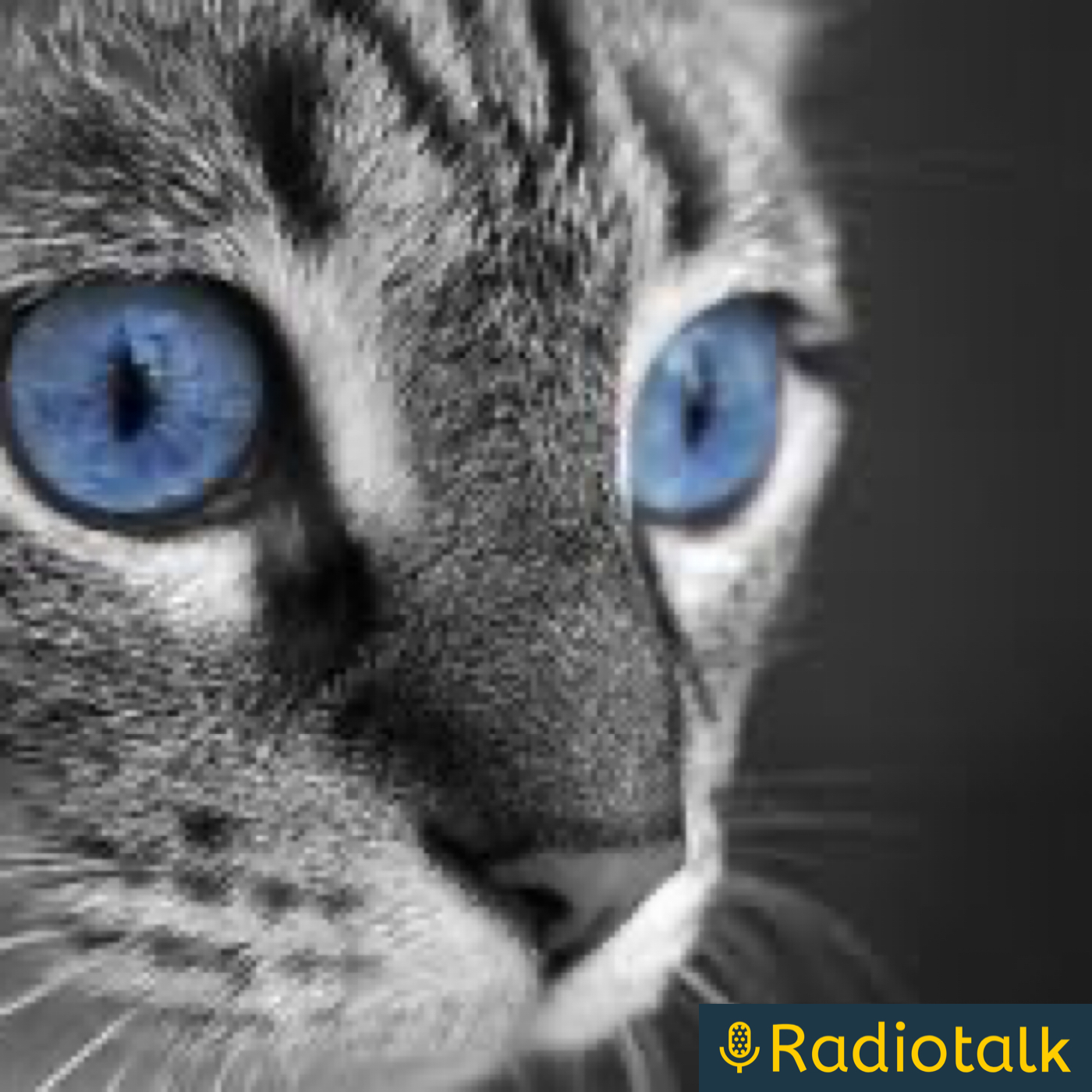 ネコヤク〜猫になりたい薬剤師が心を整える〜 podcast artwork