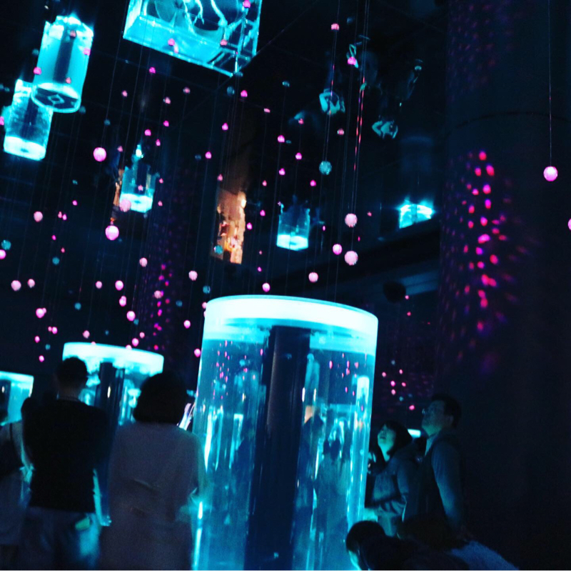 深夜の朗読  不思議な魚(室生犀星)