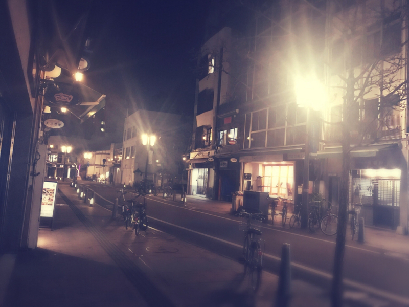 アンデルセン /絵のない絵本