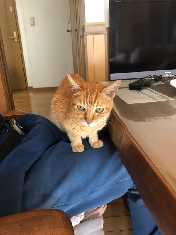 040 不眠から過眠になってしまったよ