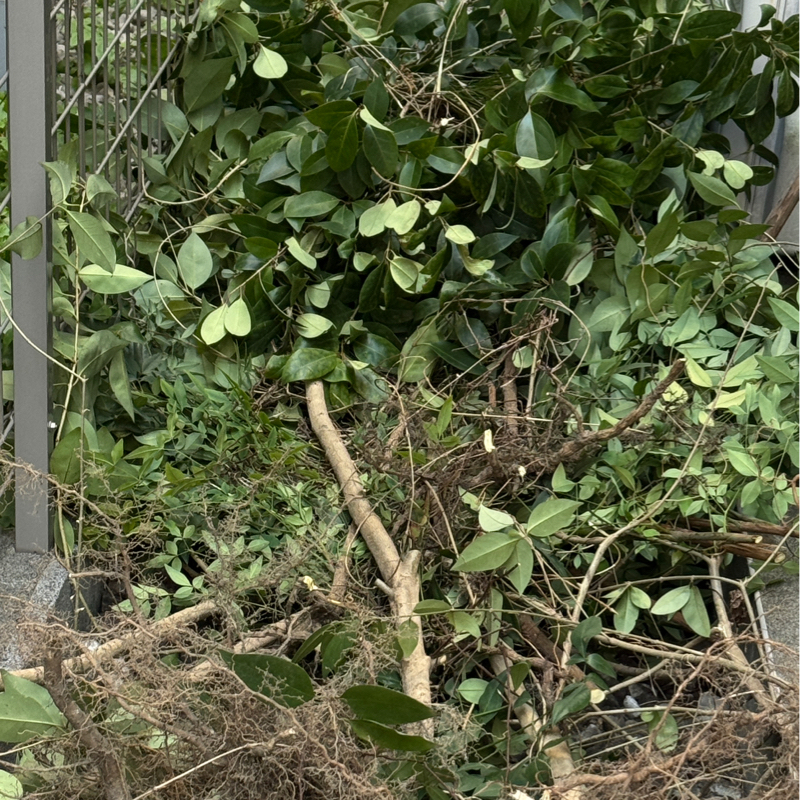 ラジオ更新滞っておりごめんなさい