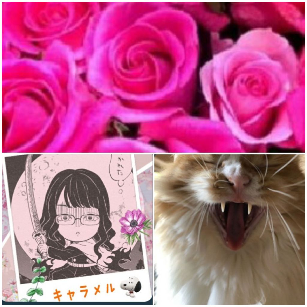 1208 kikiと忘年会🎶🍻✨