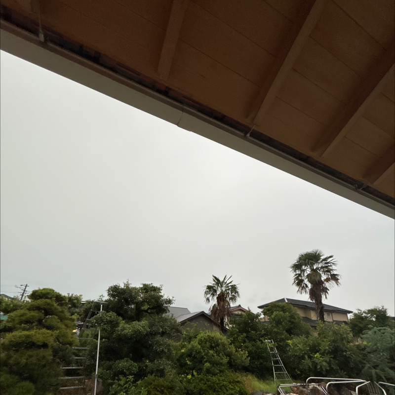 2026/07/28 夏の夕方　雨と雷の音