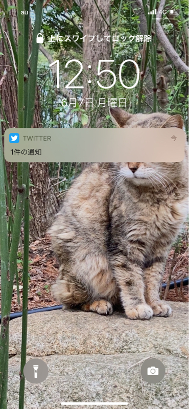 #226 ふるさと納税