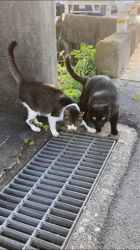 #269 久々ブッキングで対バン