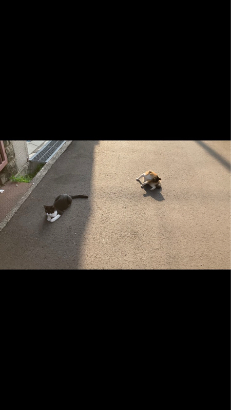 #273 江坂らへん