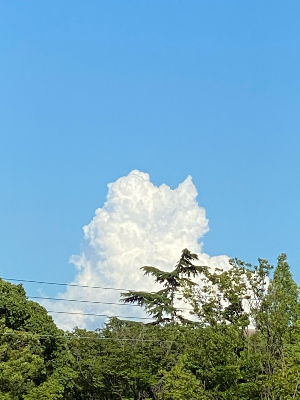 #274 土曜日はお疲れ様でした