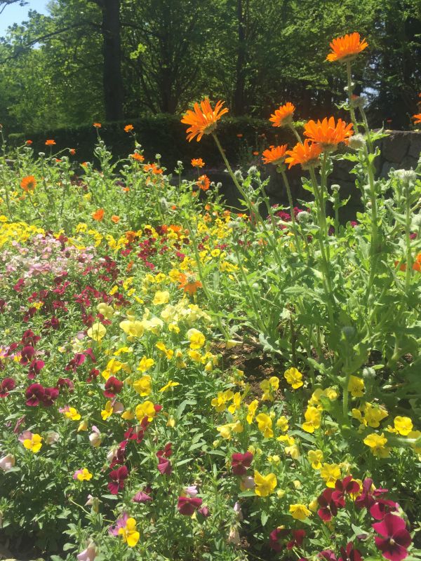 1114 だらだらおしゃべり 