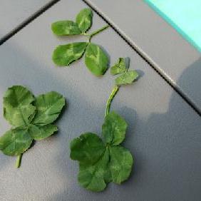 あいさつって大事だよね