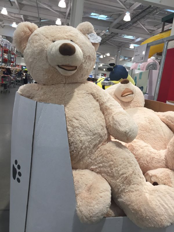 おめでとう茶仁さんフォーエバー