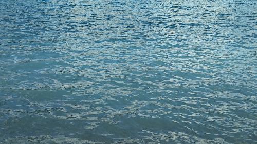 候補生担の通話