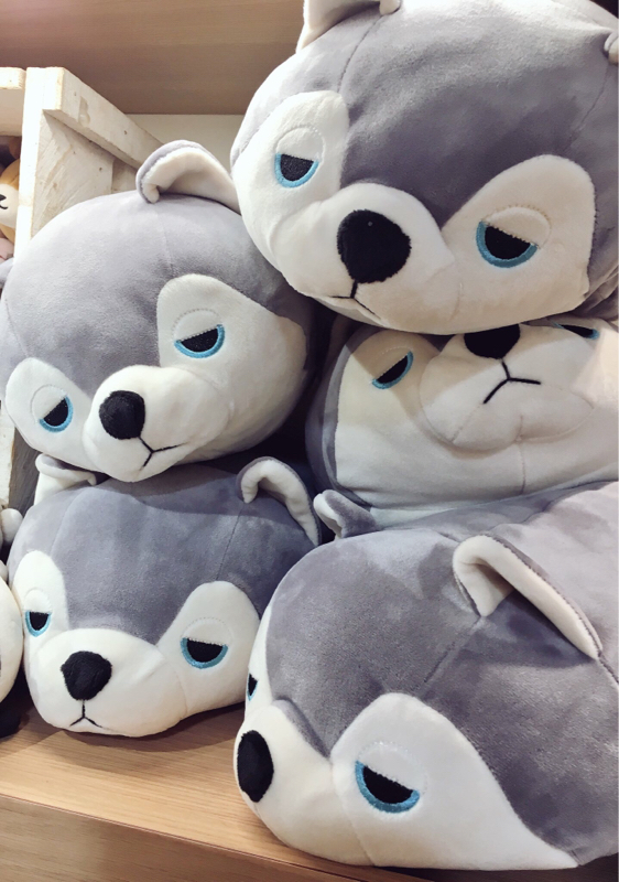 佐藤燎が大好き⑥