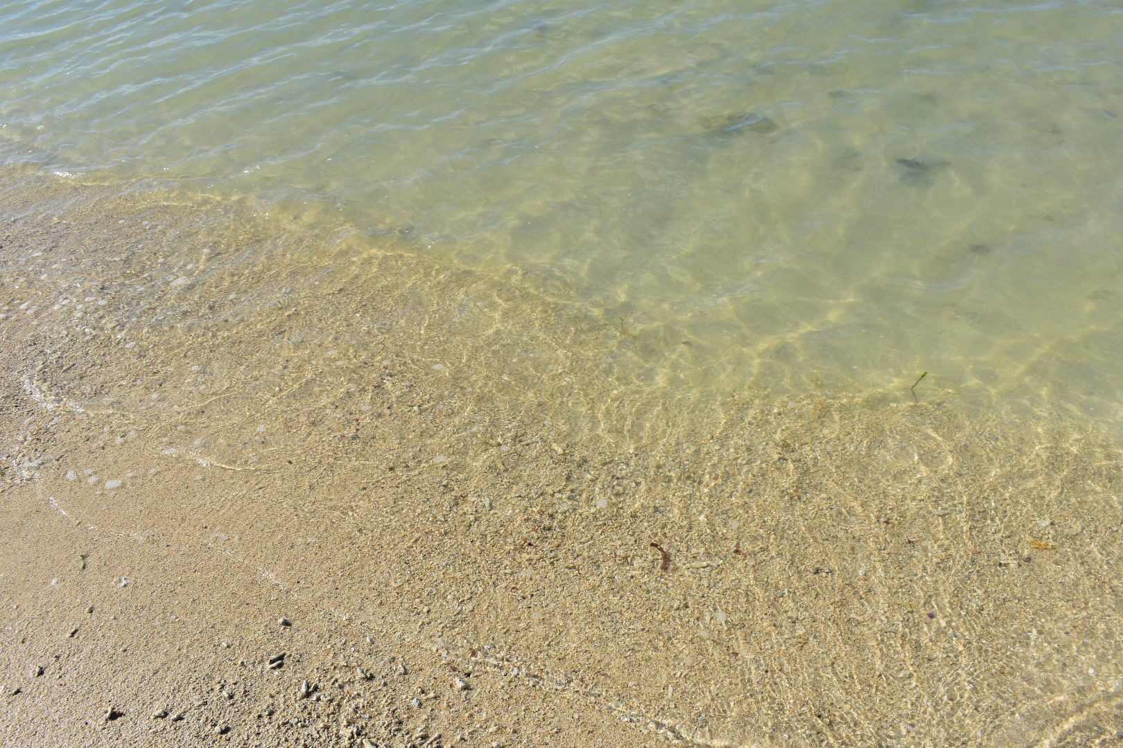 『憂国』ぐだぐだ朗読2