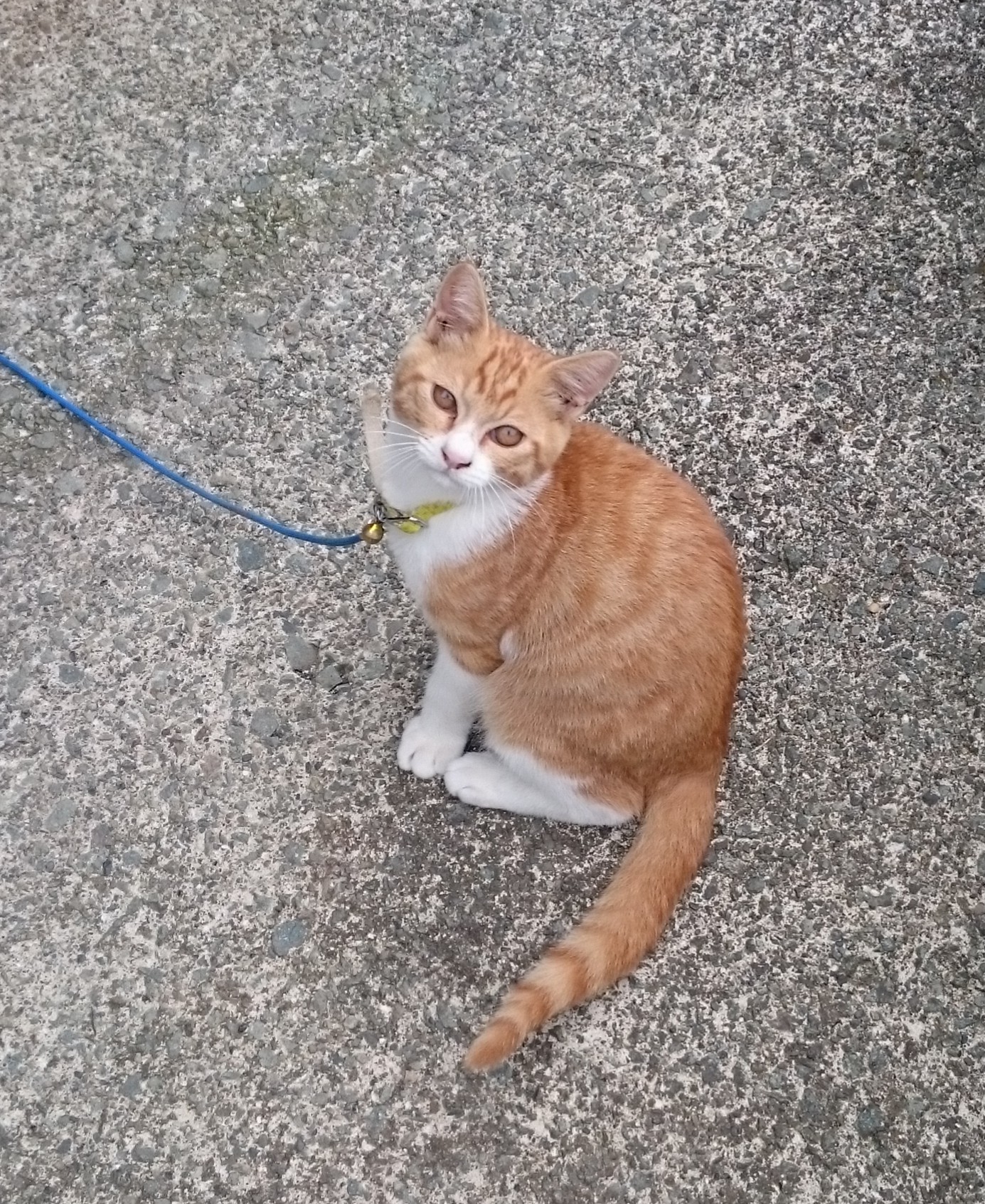 PSクラシック候補｢幻想水滸伝｣を語りたい