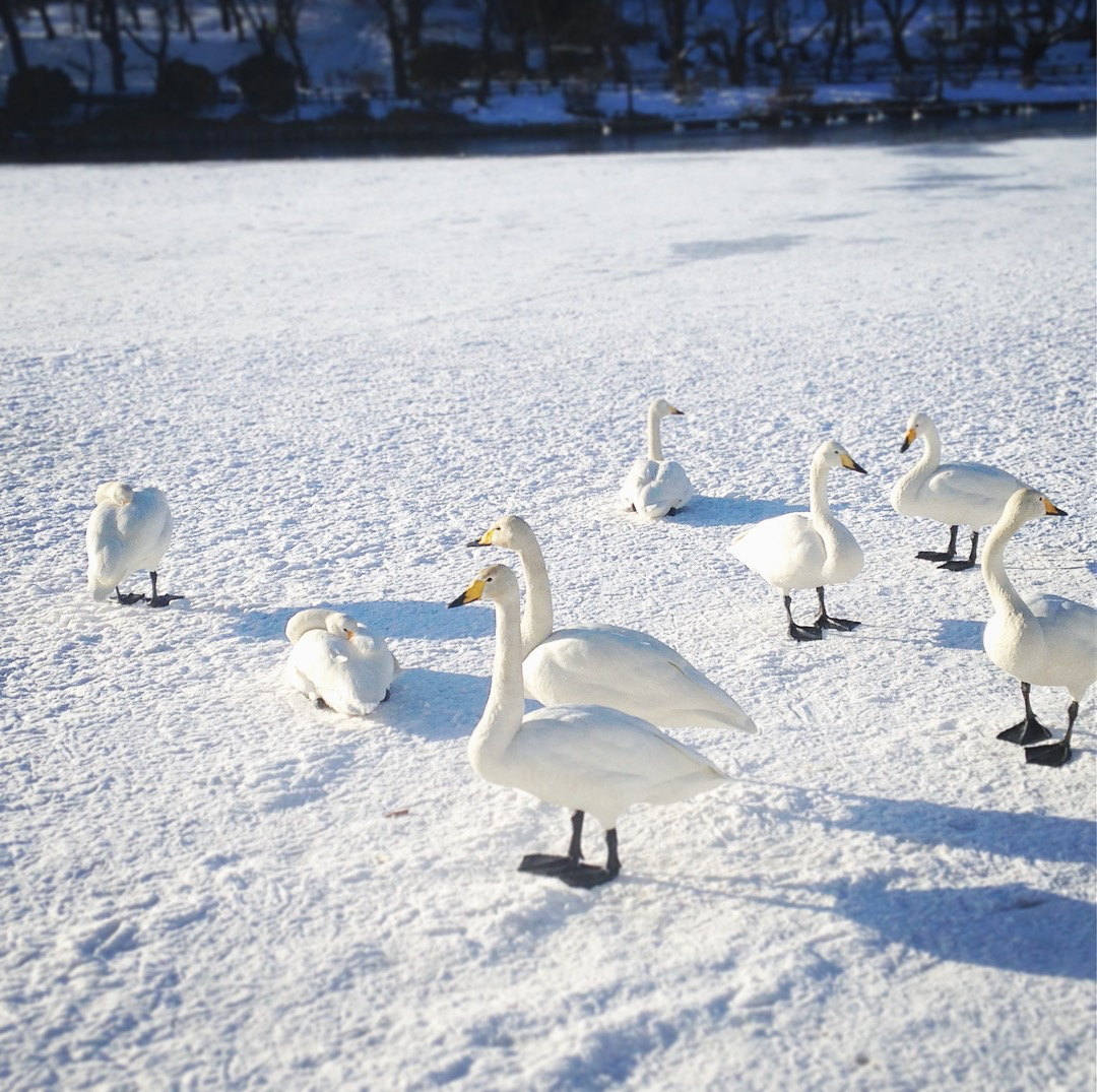 おやすみを喋る独り言