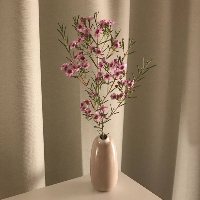 一輪挿しを買った