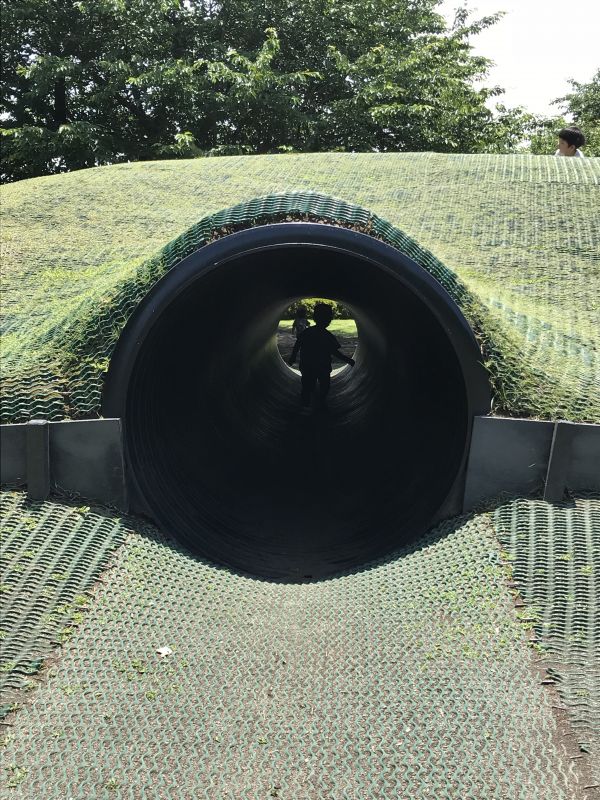 1目 魔法学校に通っていた話。1