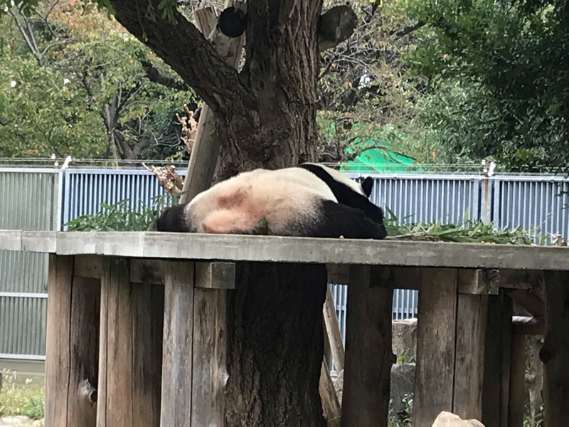 29目 神戸旅行3日目 最終回