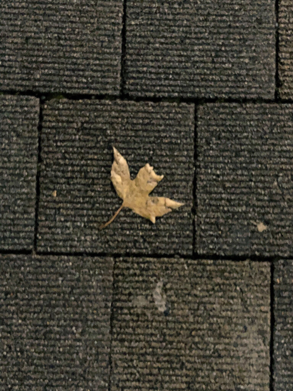 12月6日のらじお