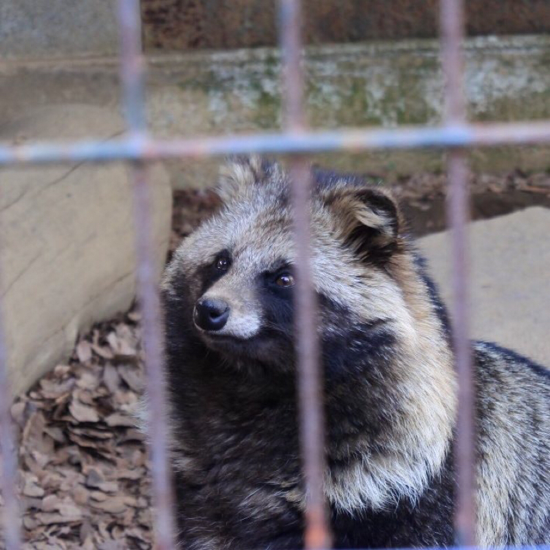 サンユマ、ひさびさに出現