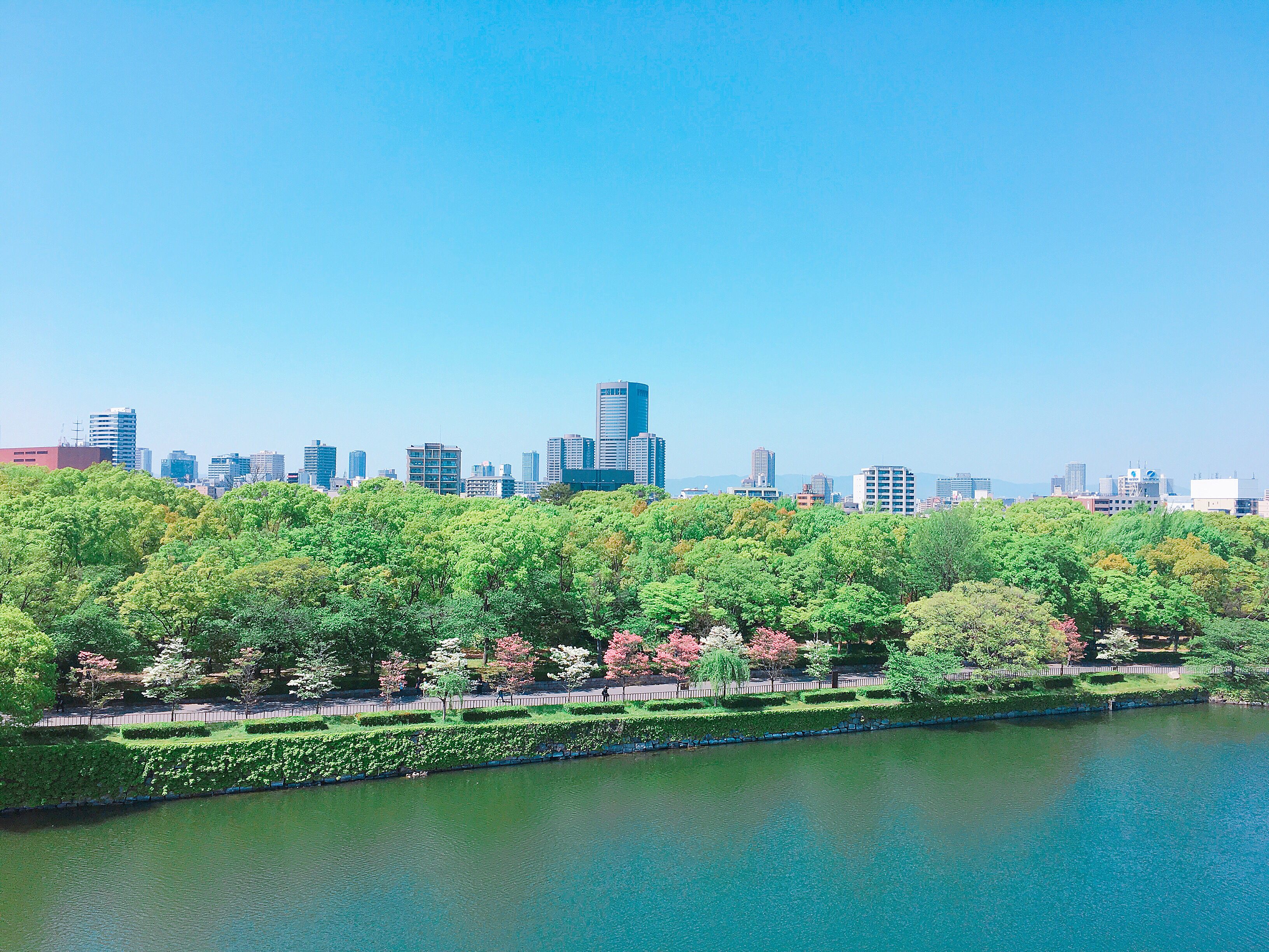 #1 初回だから緊張してるけど許して欲しい