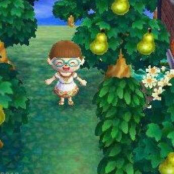 ＠:001 村のマドンナ、しずえさん！