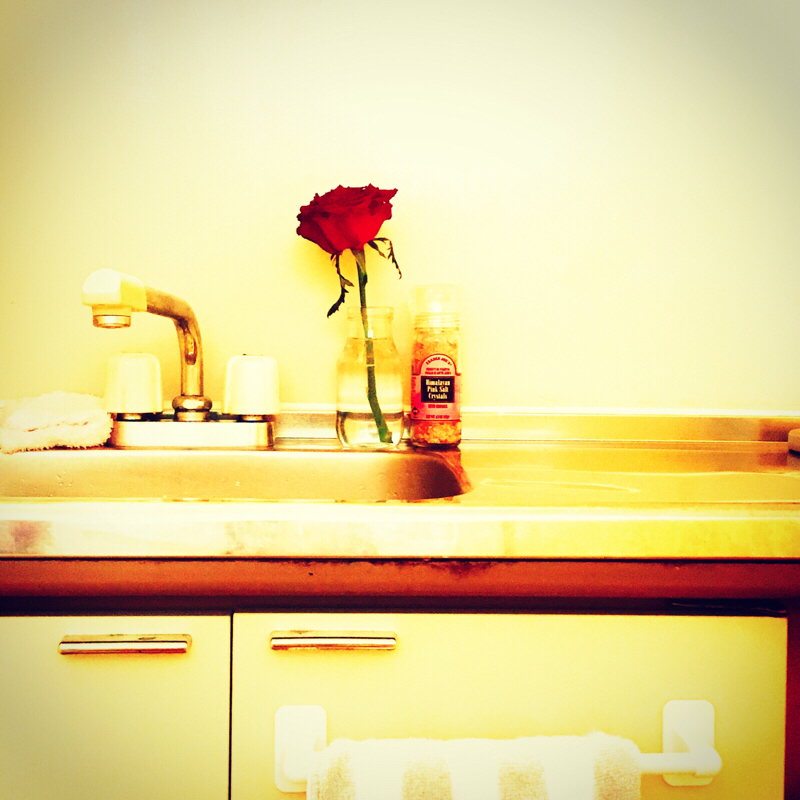 @:073「岩塩がやってきた！」